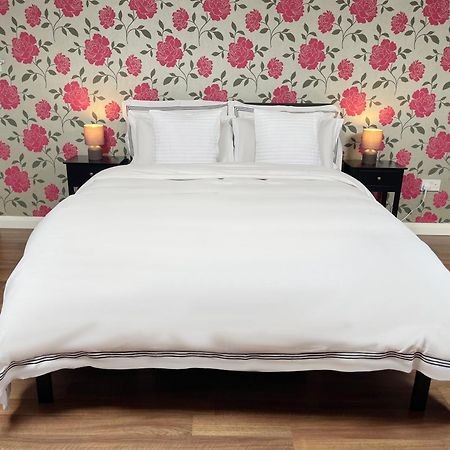 Entire Pinkapt - Free Parking - Up To 4 Guests - 3 Beds - Close To City Centre بلفاست المظهر الخارجي الصورة